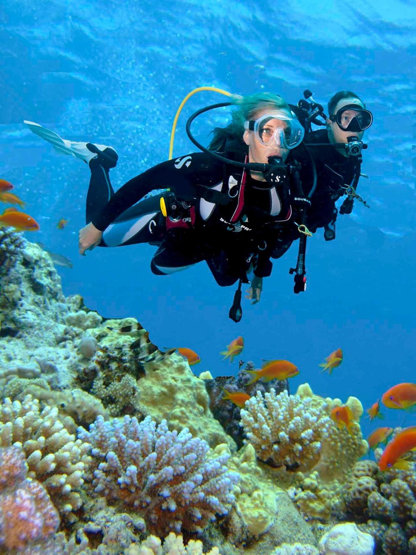 Steigenberger Aldau Beach Hotel - Photo 35