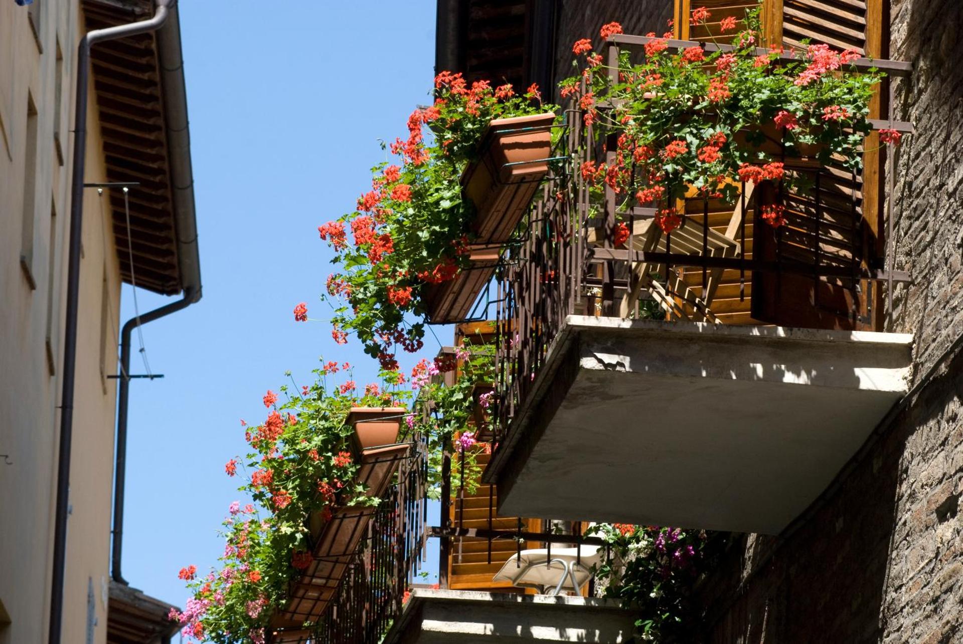 Hotel S. Ercolano - Photo 29