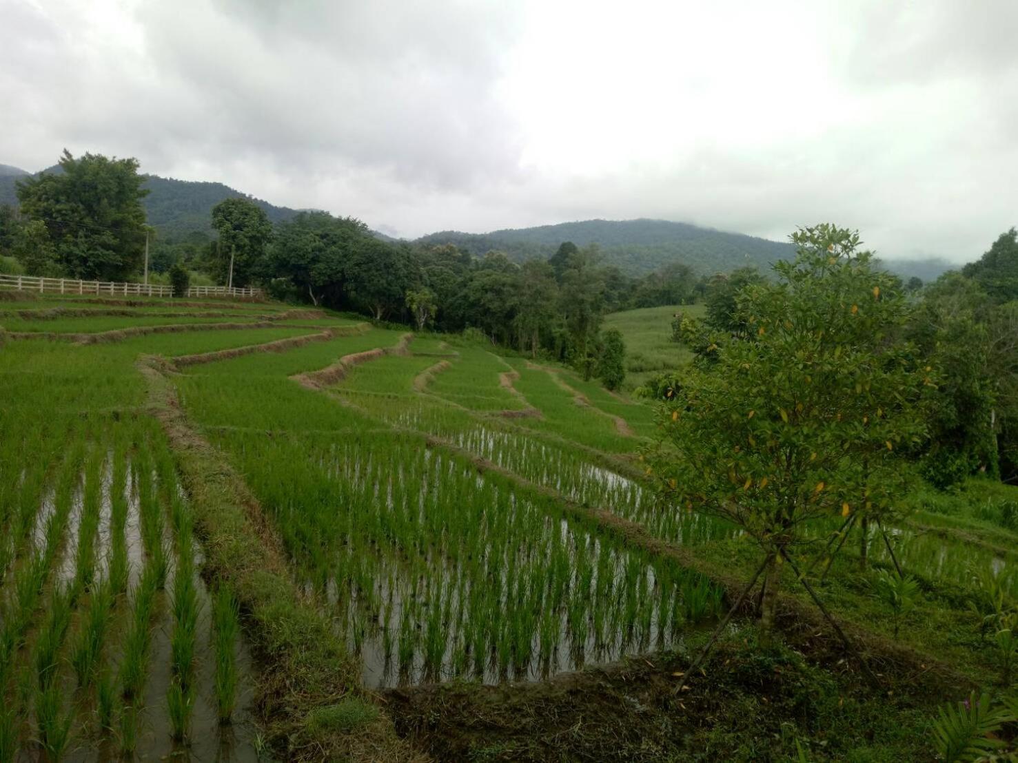 Buraphat Resort - Photo 153