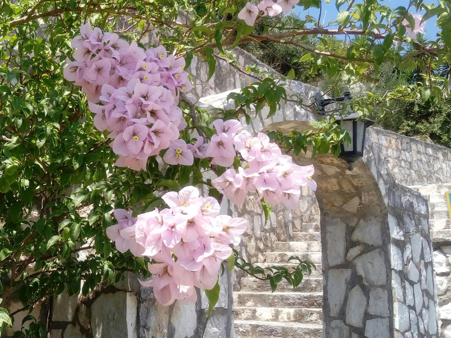 Studios Rania - Rania Studios & Apartments - Photo 15