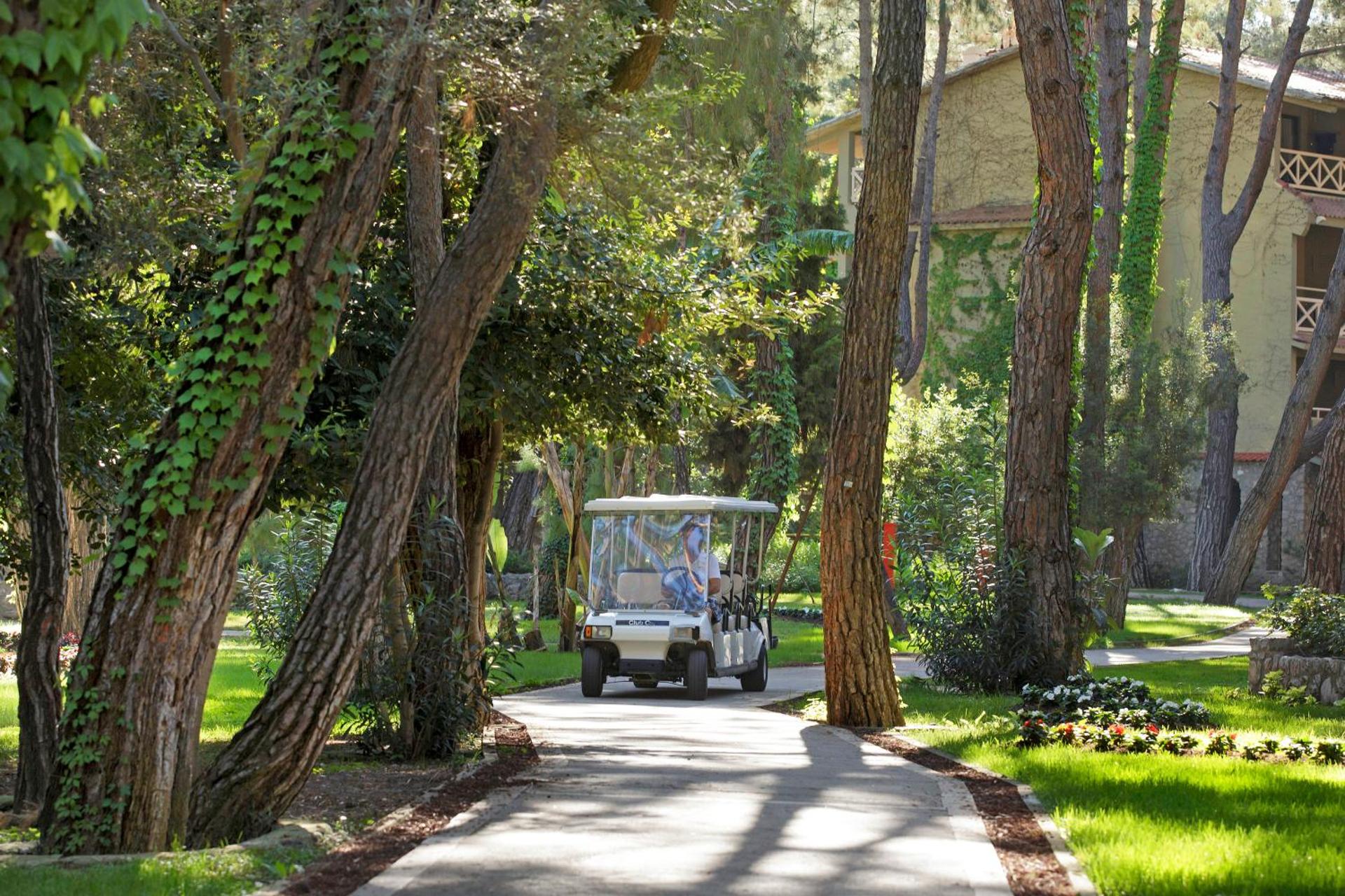 Martı Myra - Ultra All Inclusive - Photo 87