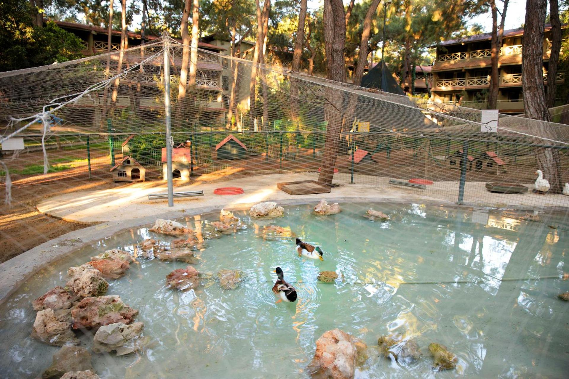 Martı Myra - Ultra All Inclusive - Photo 88