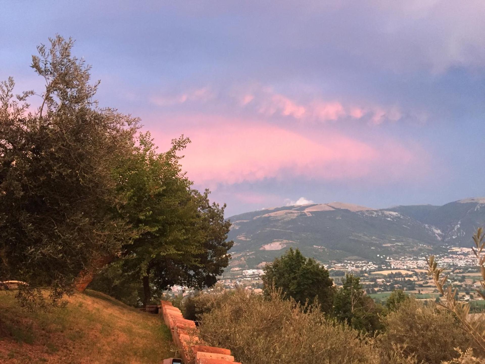 Casale degli ulivi - Photo 64