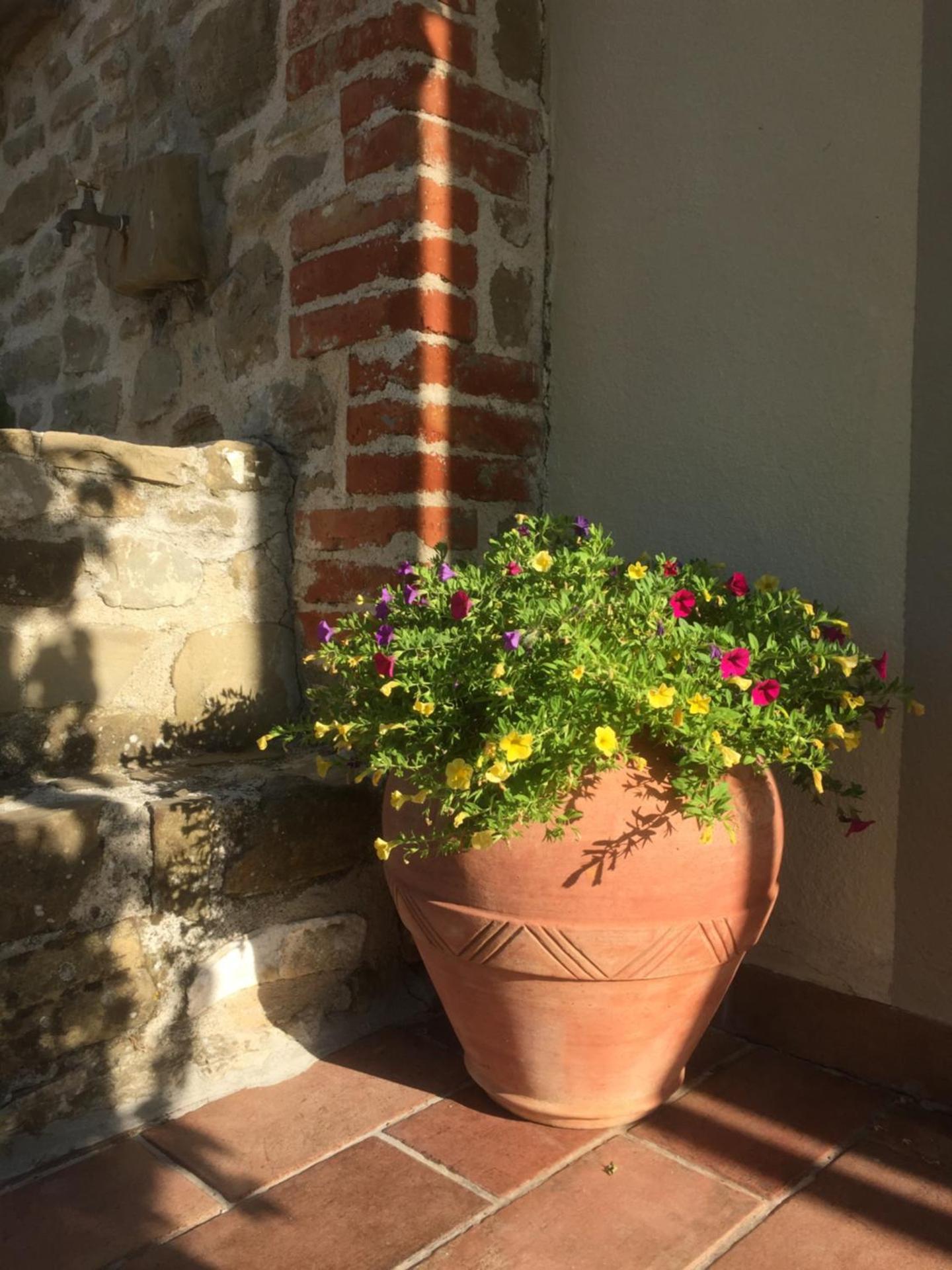 Casale degli ulivi - Photo 78