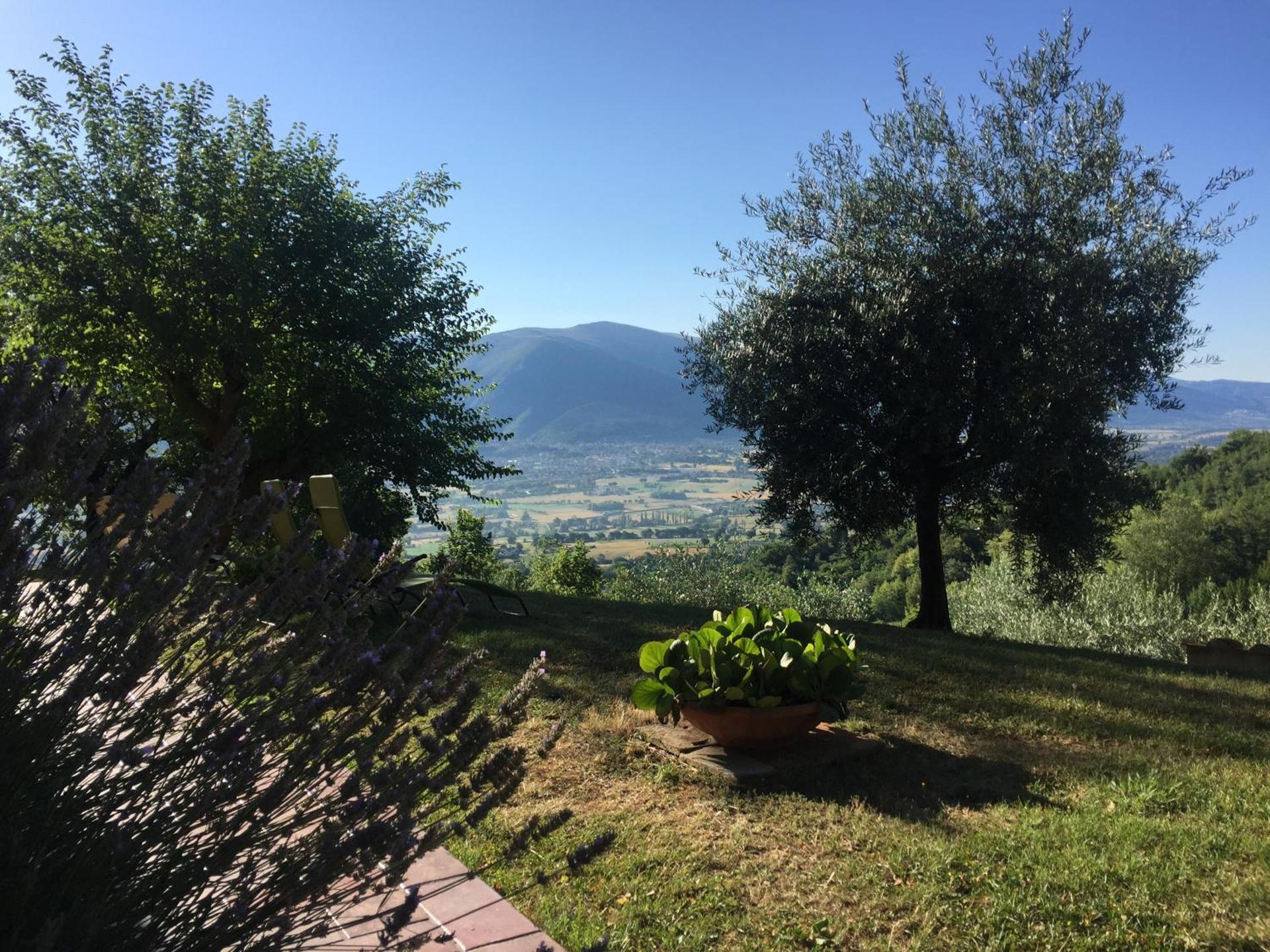 Casale degli ulivi - Photo 67
