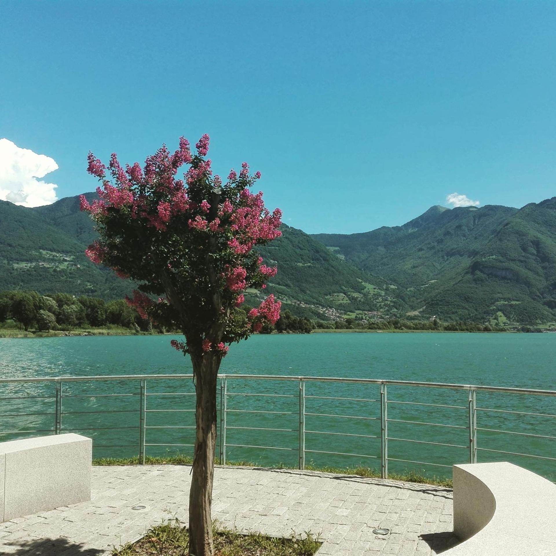 Bed & Breakfast Villa Palma - Photo 43