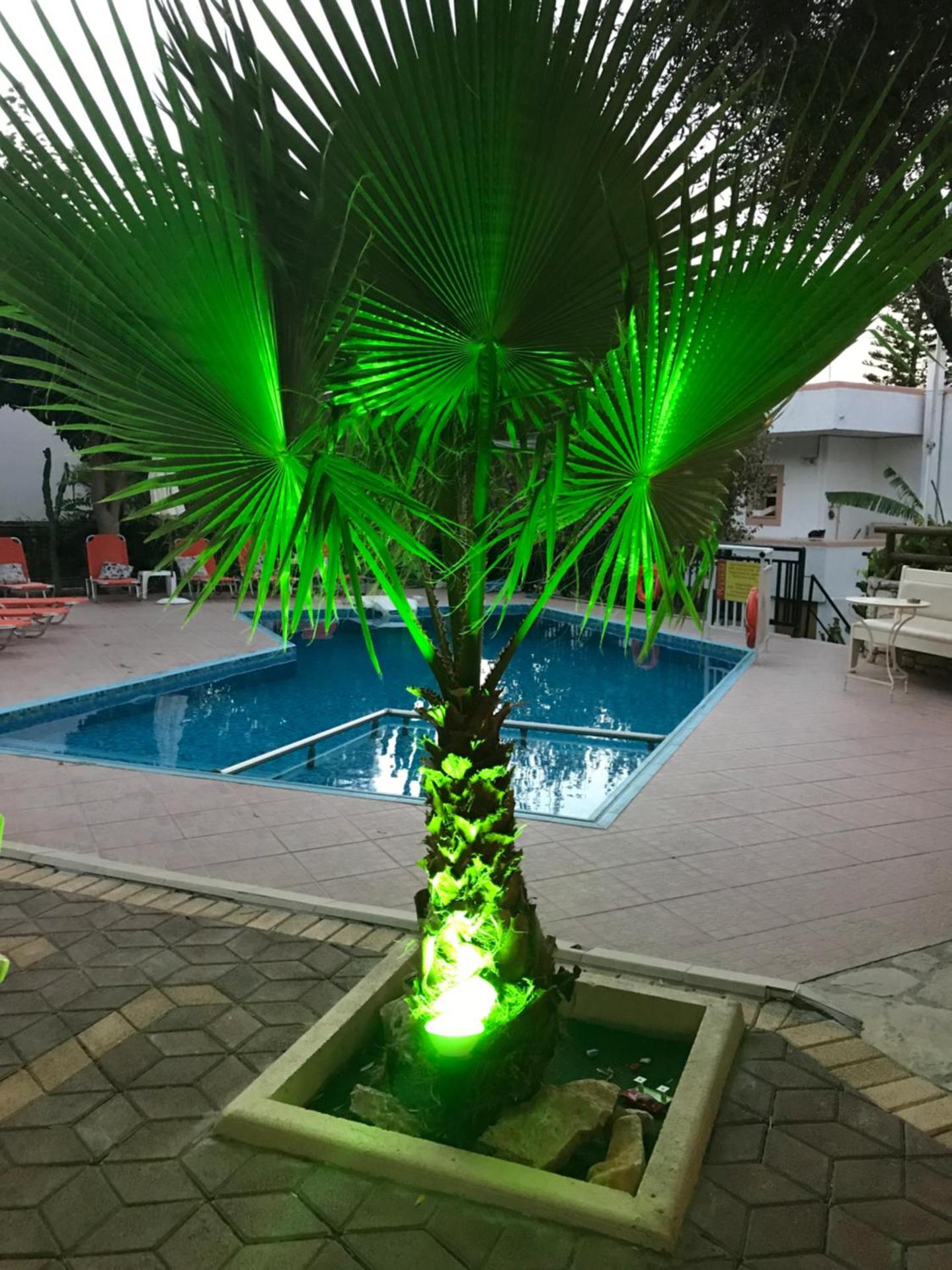 Vrisi Apartments & Villa - Photo 18