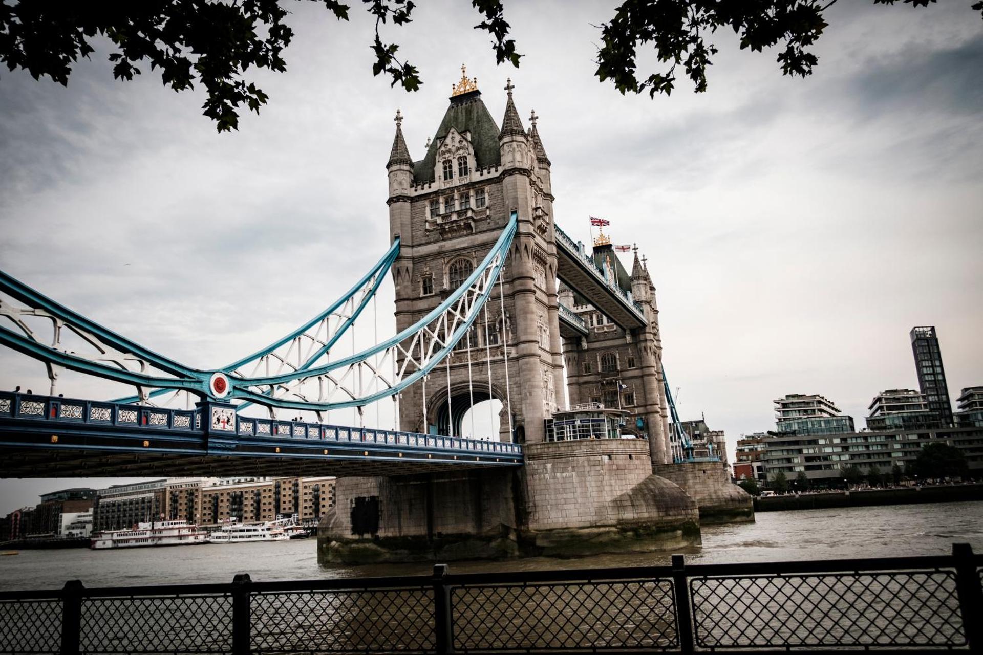 The Chamberlain - Photo 161