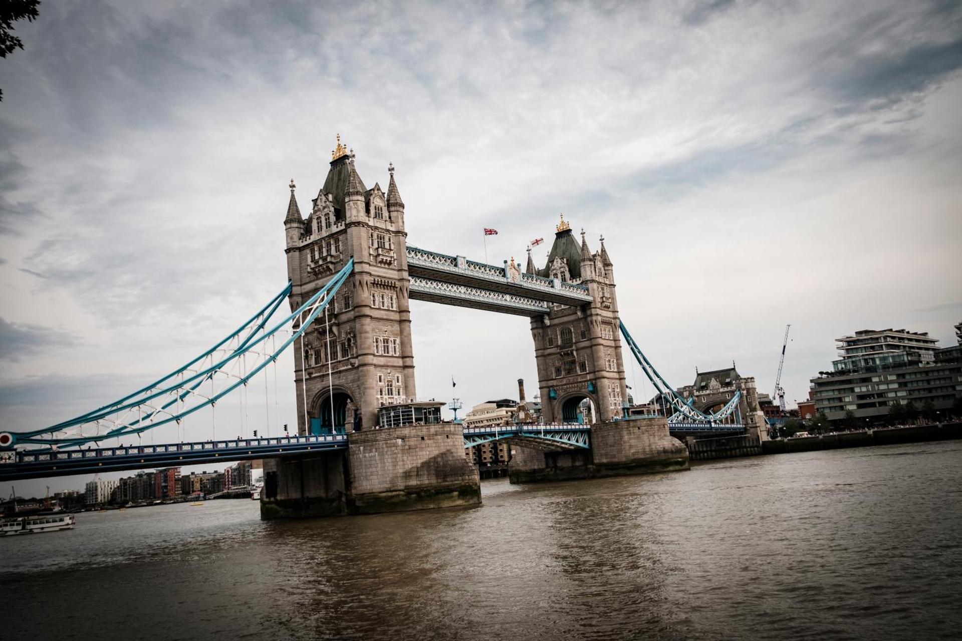 The Chamberlain - Photo 157