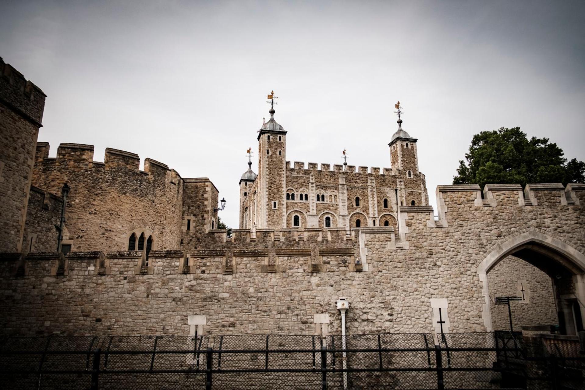 The Chamberlain - Photo 160