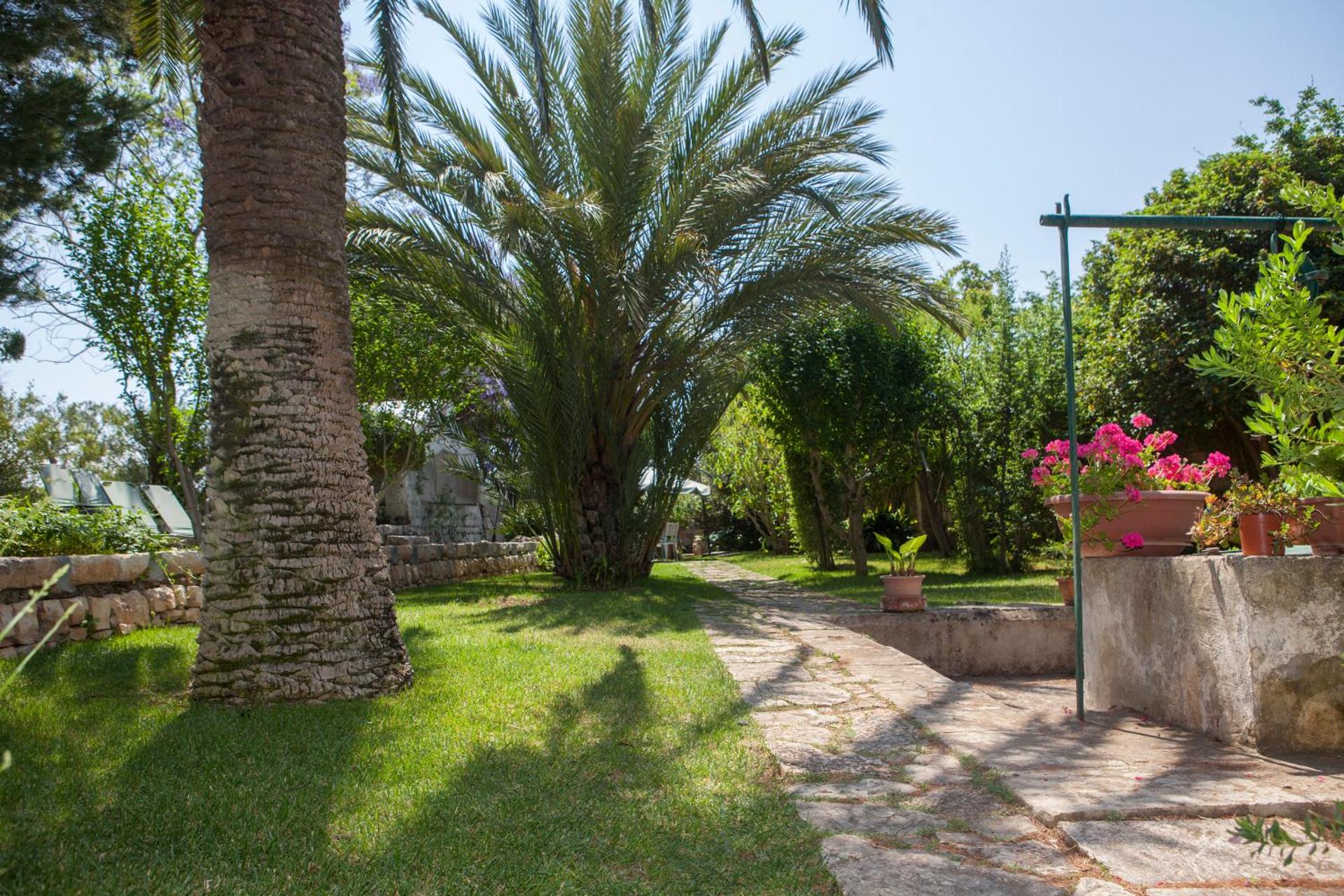 Masseria Il Frantoio - Photo 53