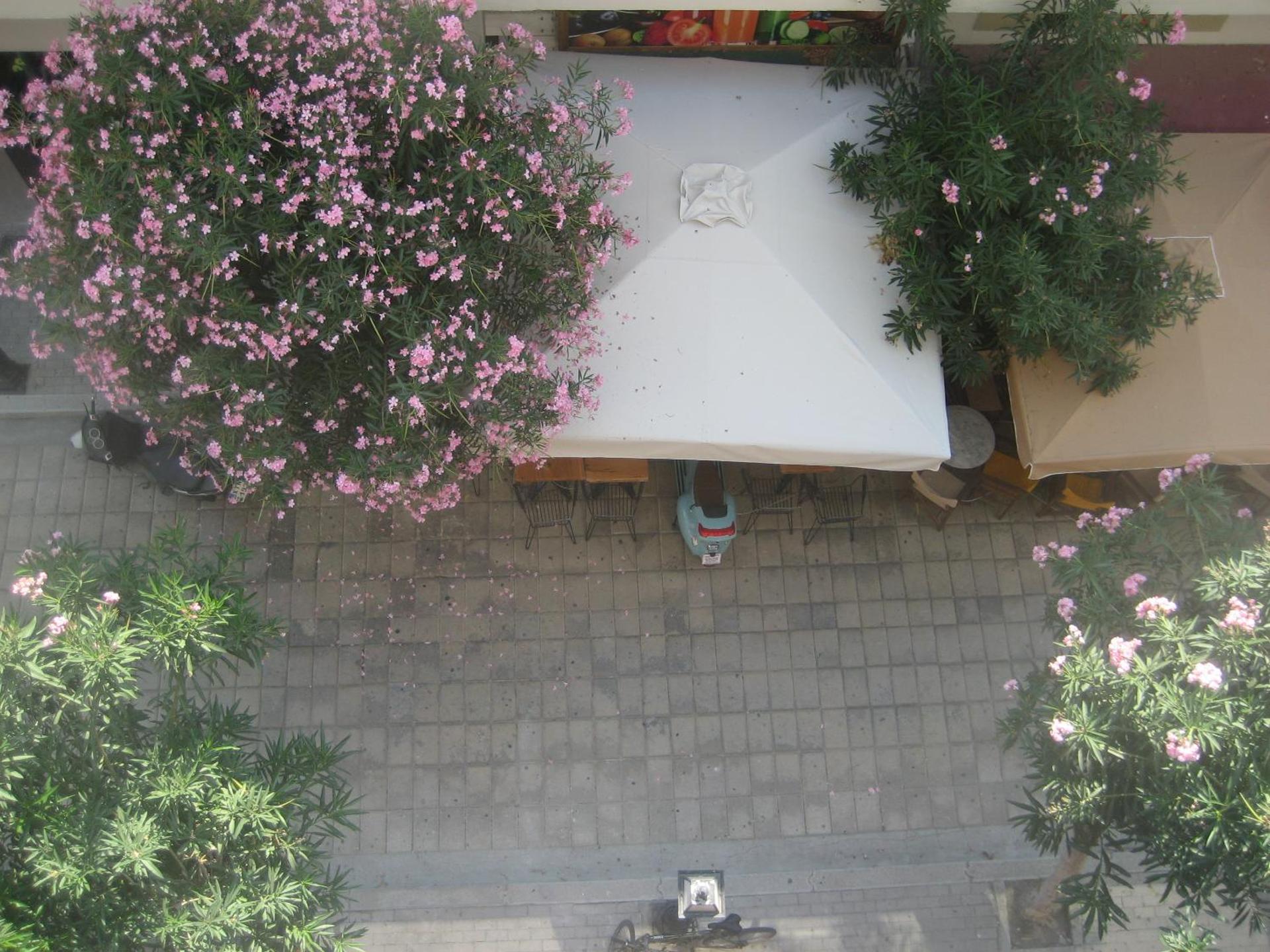 Milva Apartments - Photo 70