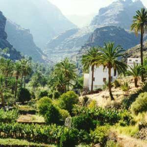 Apartamentos Bellavista Gomera - Photo 96