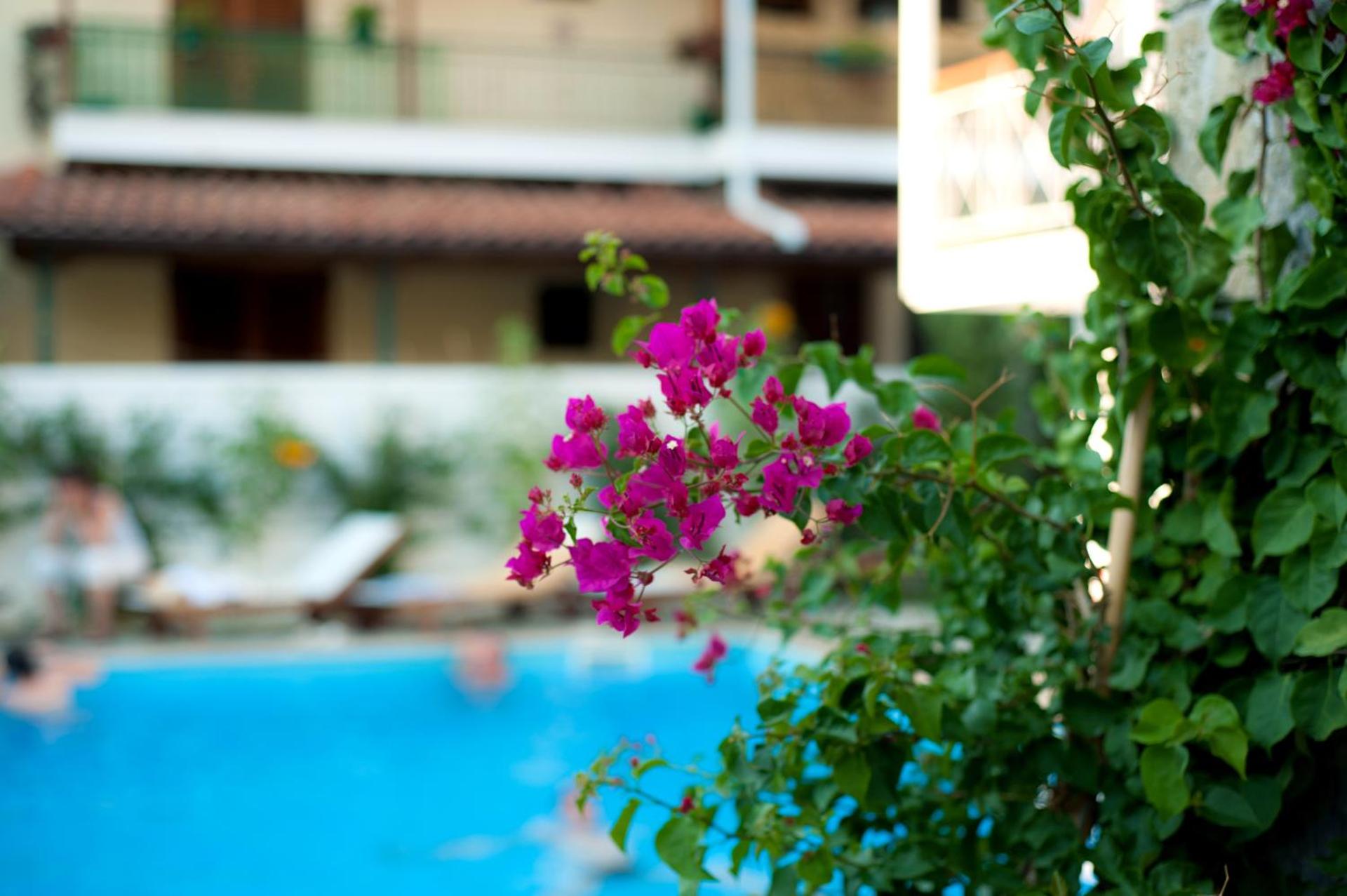 Neda Hotel - Photo 26