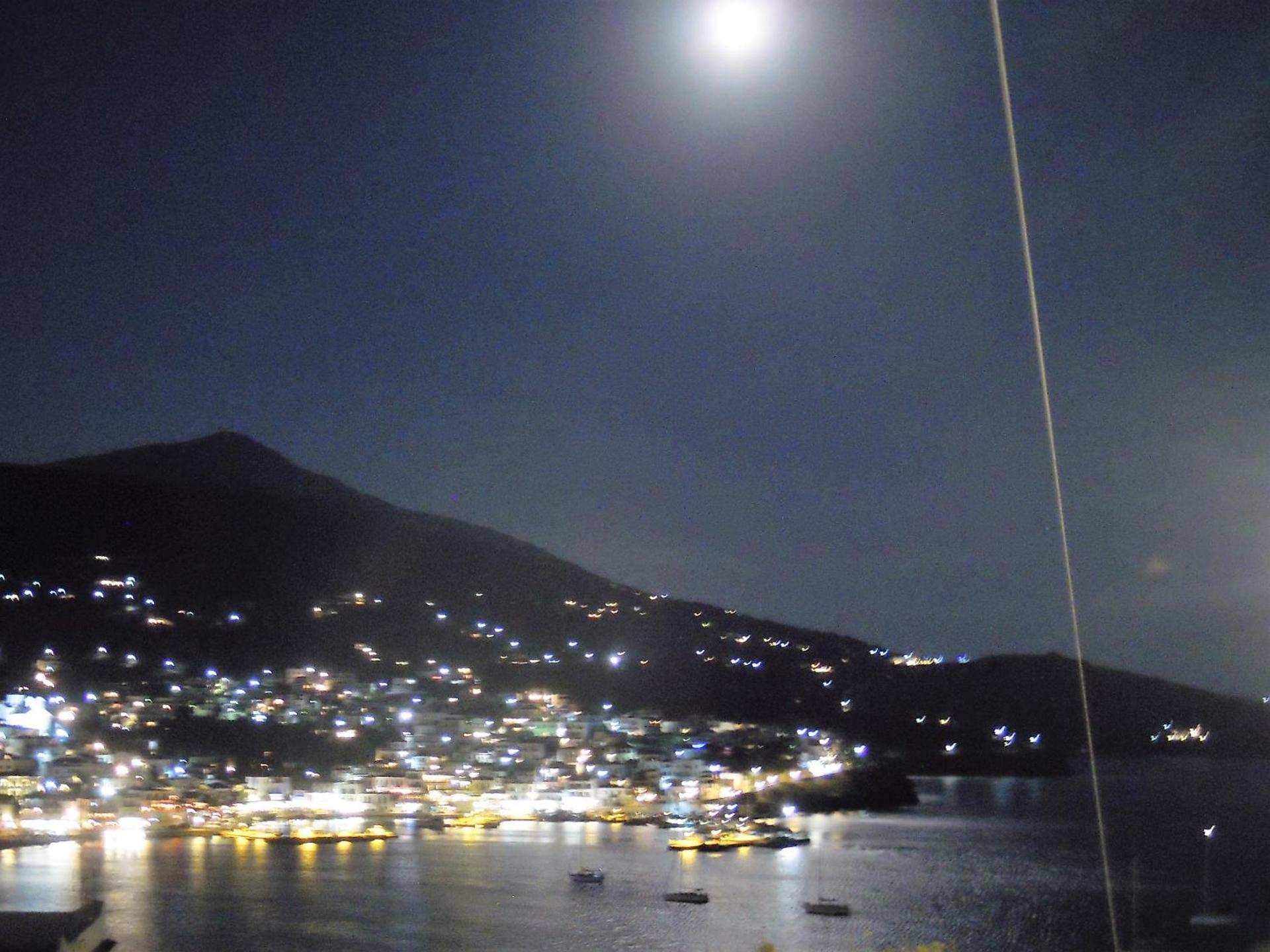 Blue Dolphin - Photo 176