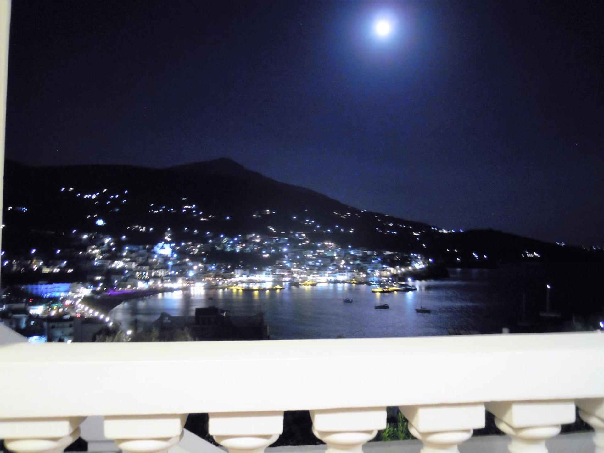 Blue Dolphin - Photo 179