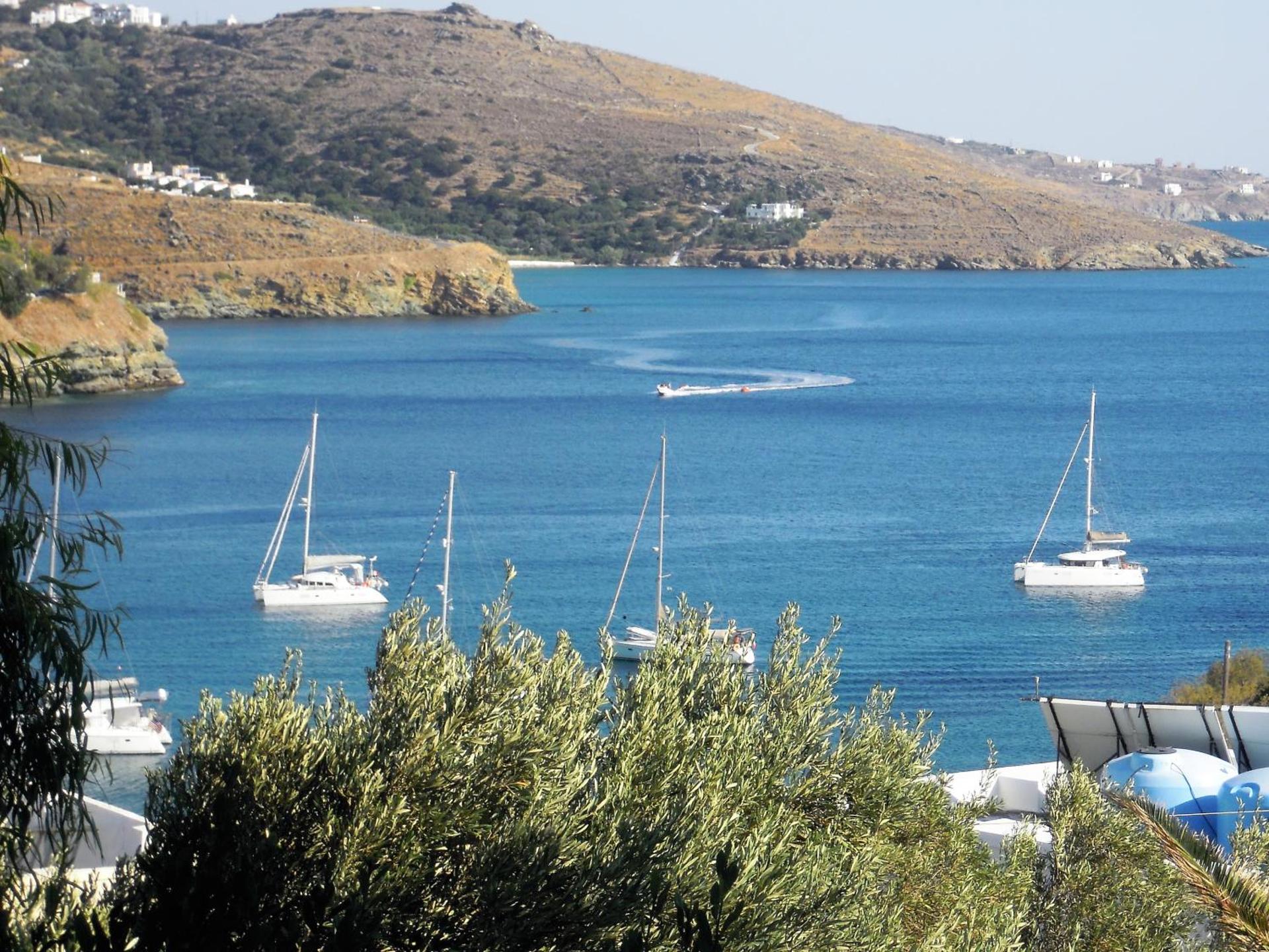 Blue Dolphin - Photo 174