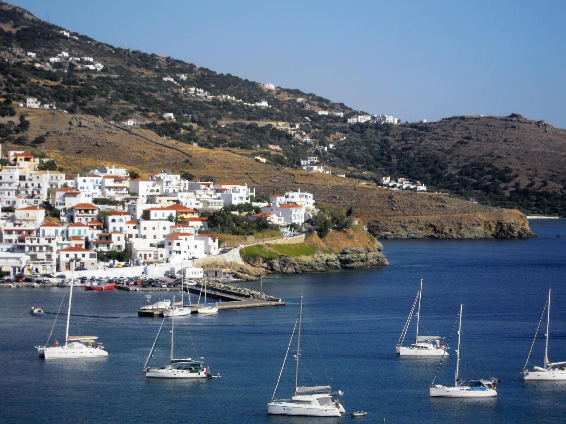 Blue Dolphin - Photo 178