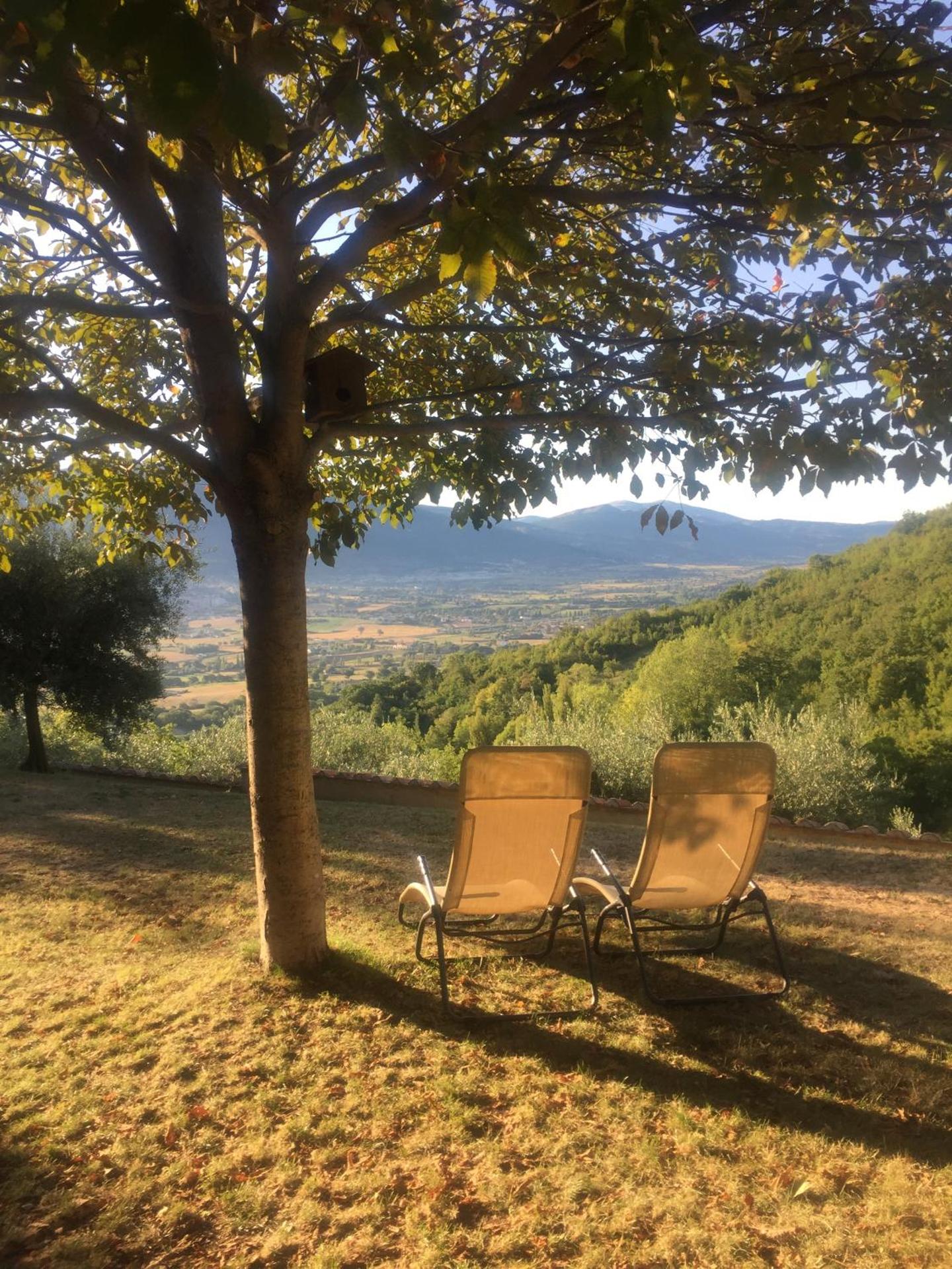Casale degli ulivi - Photo 66