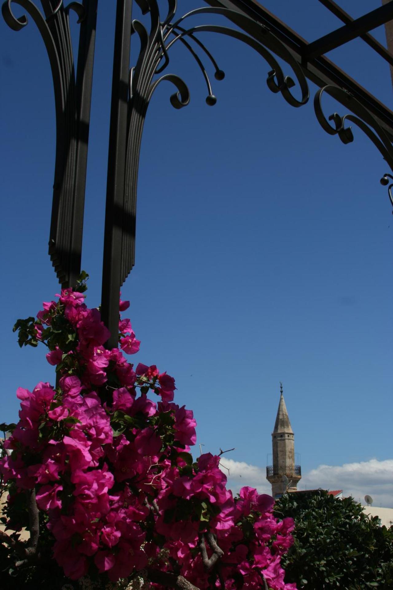 Ionas Boutique Hotel - Photo 87