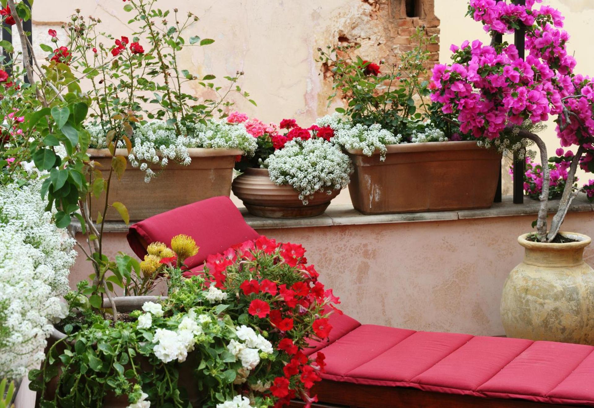Ionas Boutique Hotel - Photo 63
