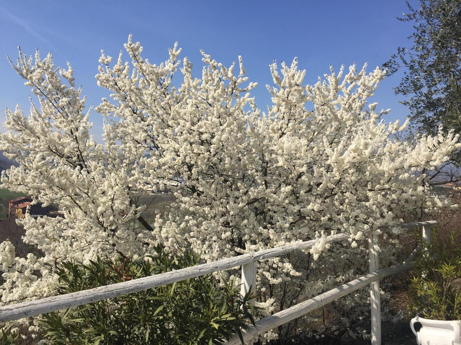 Relais Il Pigno - Photo 27