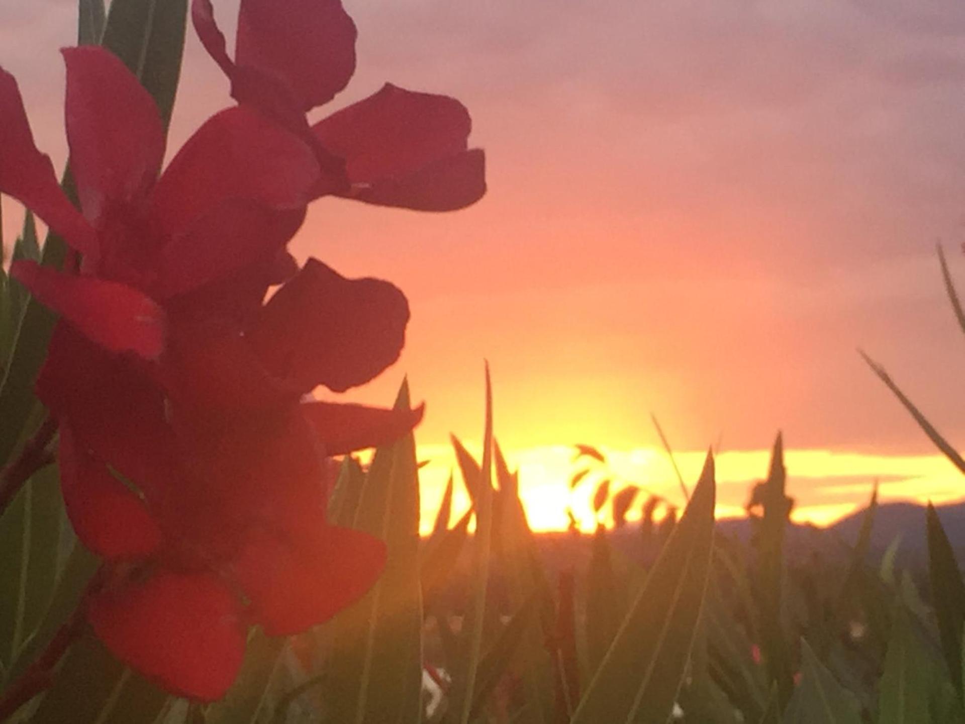 Relais Il Pigno - Photo 90