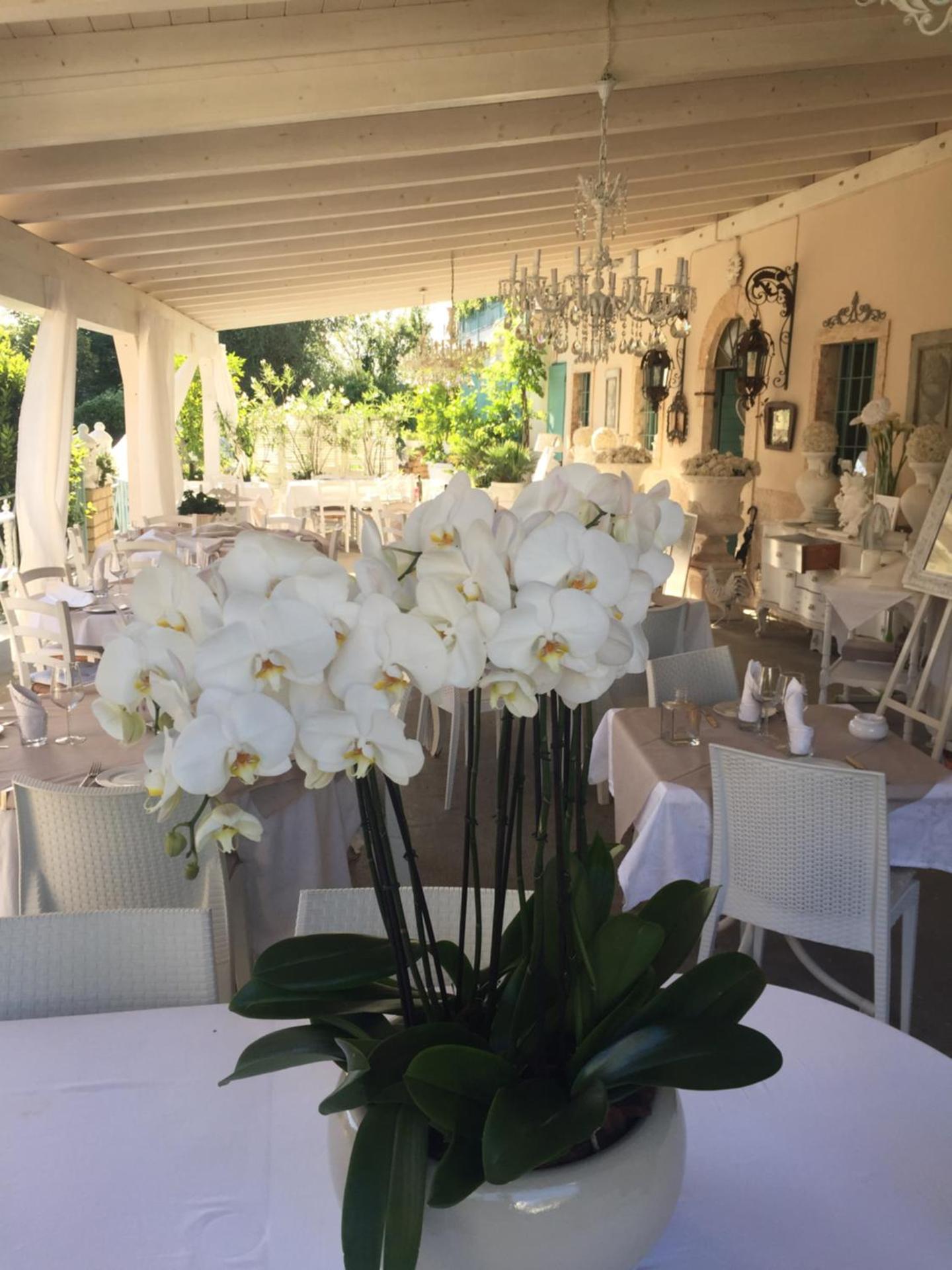 Relais Il Pigno - Photo 88