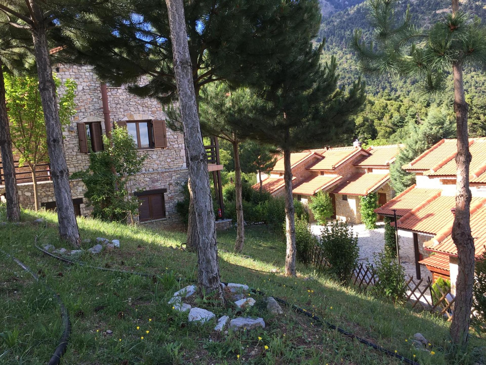 Georgio's V Chalet Kalavrita - Photo 62