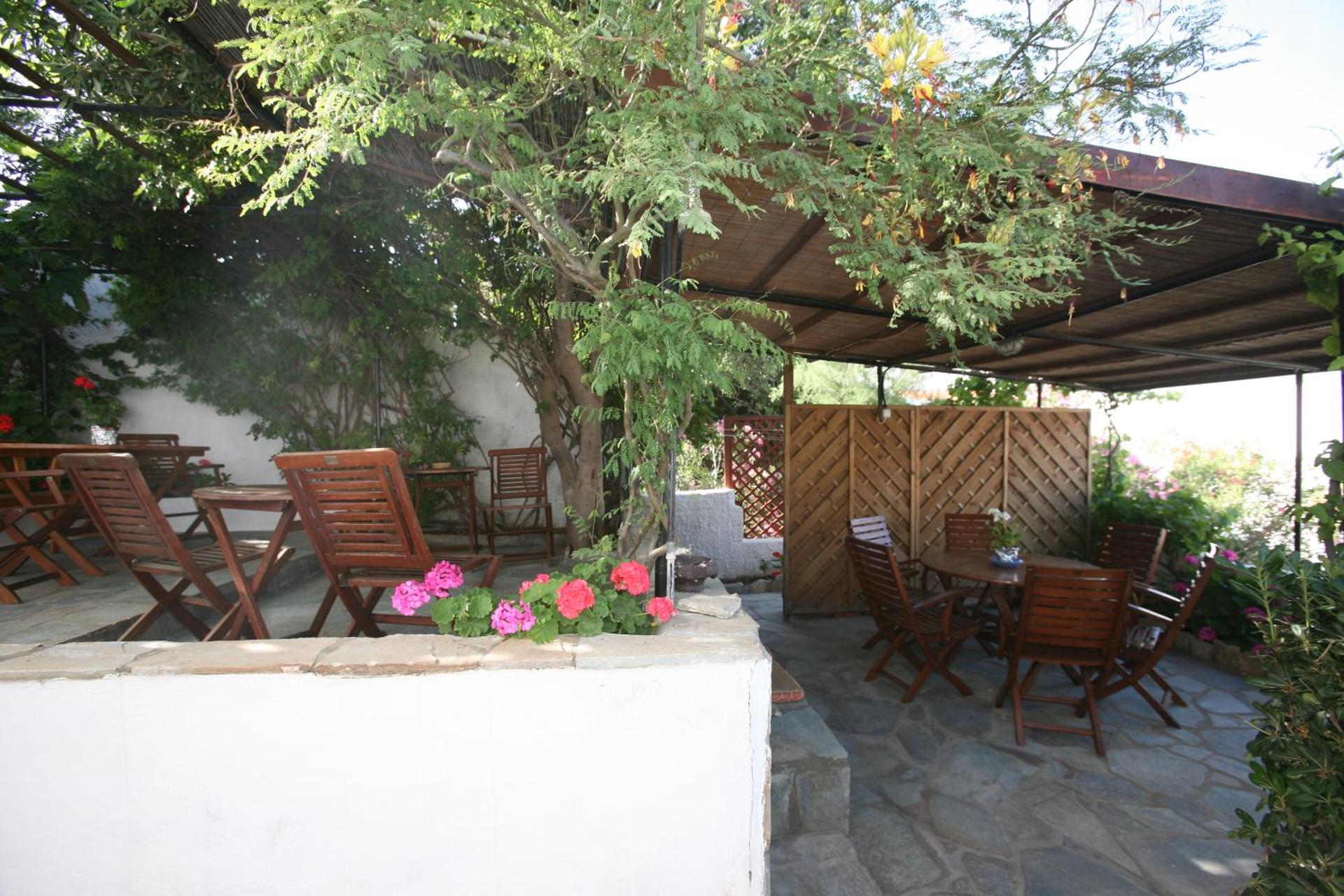 Anemoesa - Photo 117