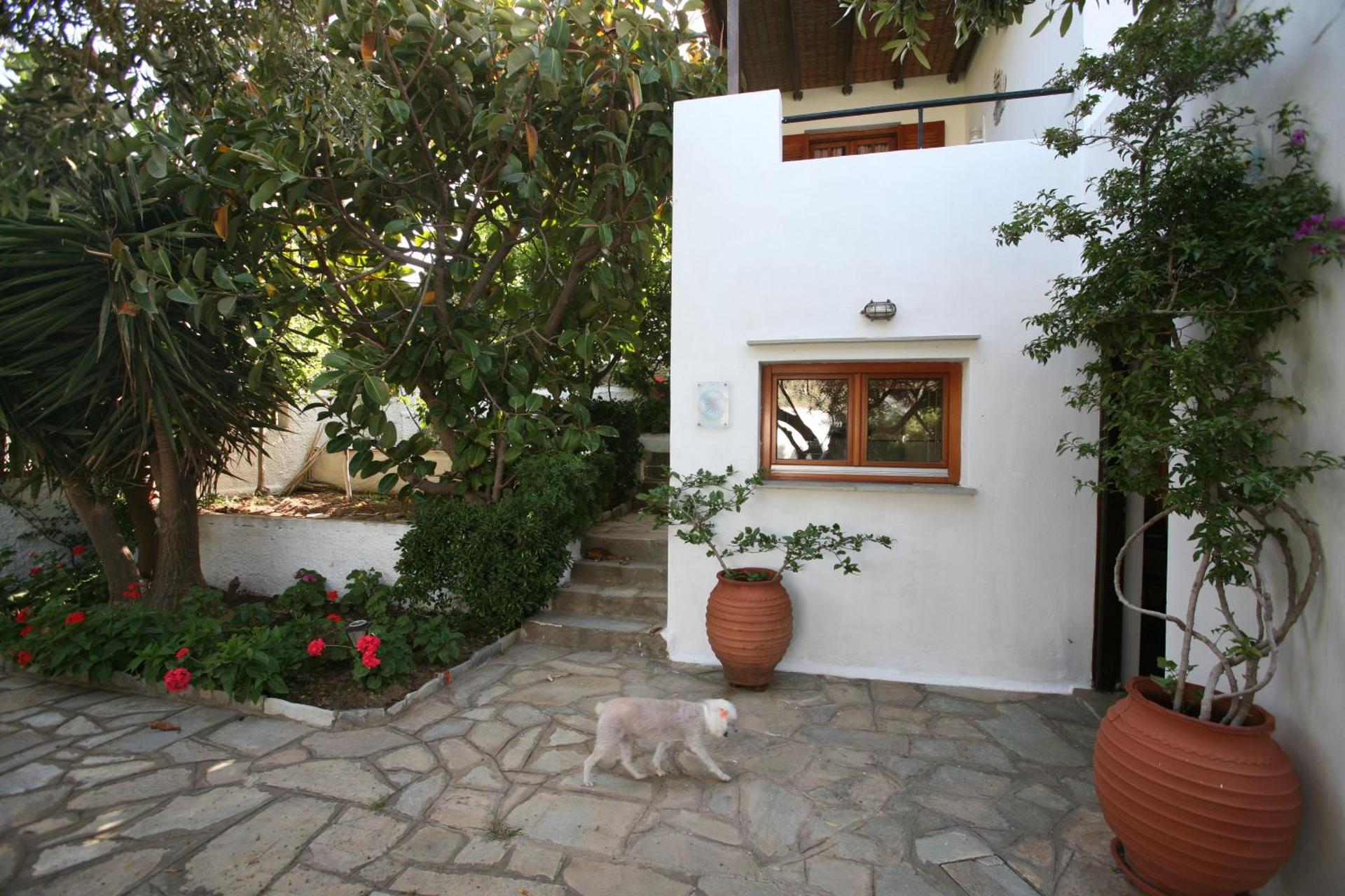 Anemoesa - Photo 115