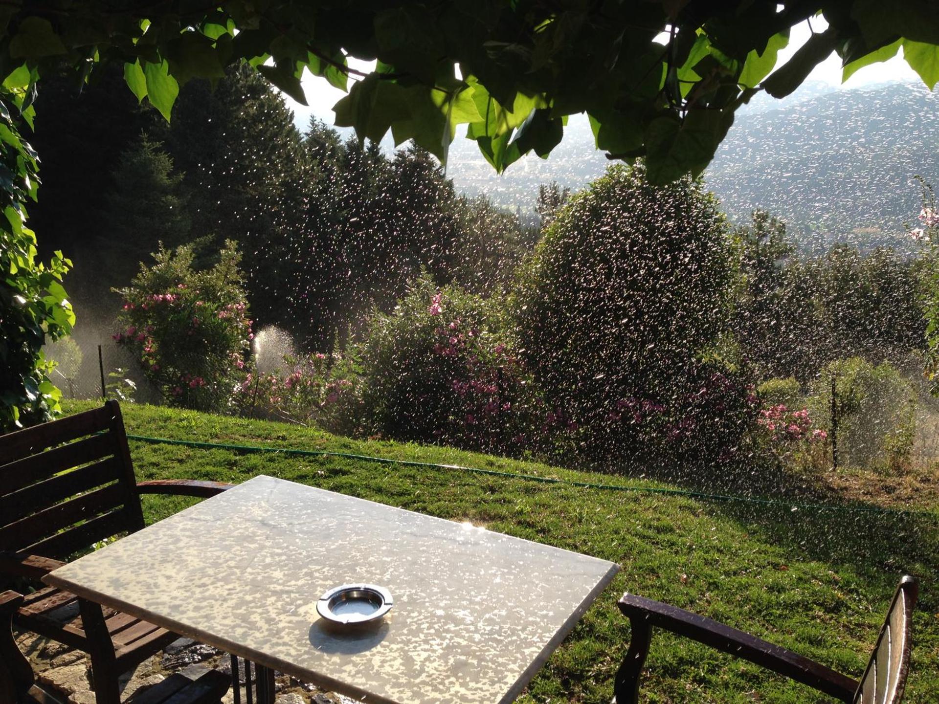 Aphrodite's Inn Kalavrita - Photo 91