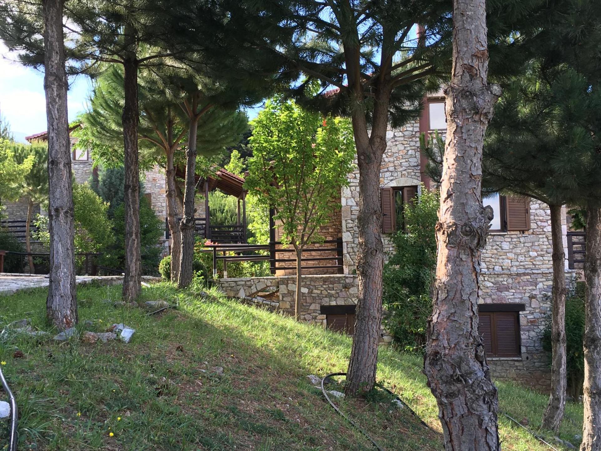 Georgio's V Chalet Kalavrita - Photo 104