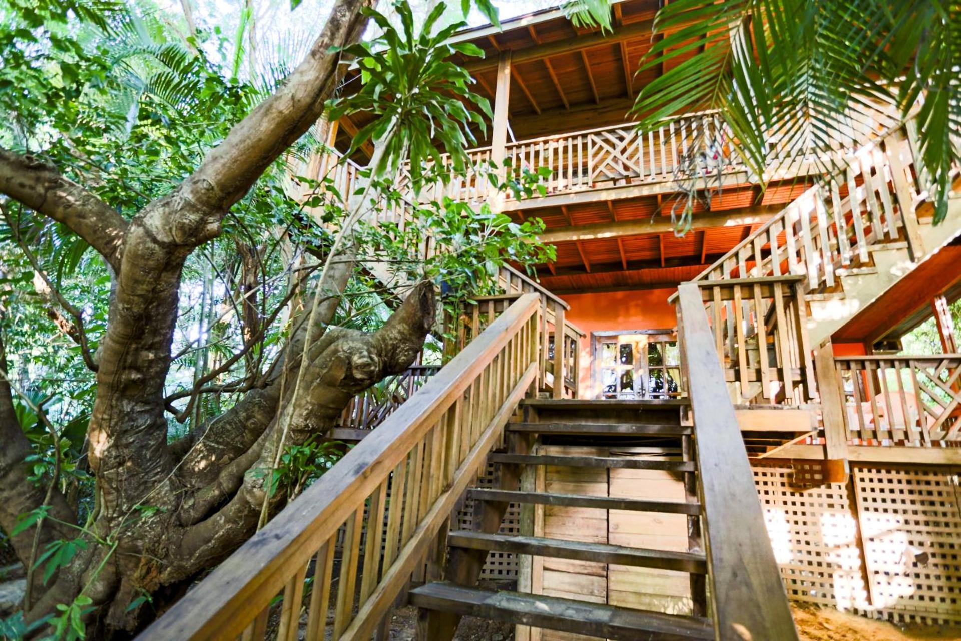 Posada Arco Iris, West End - Photo 65