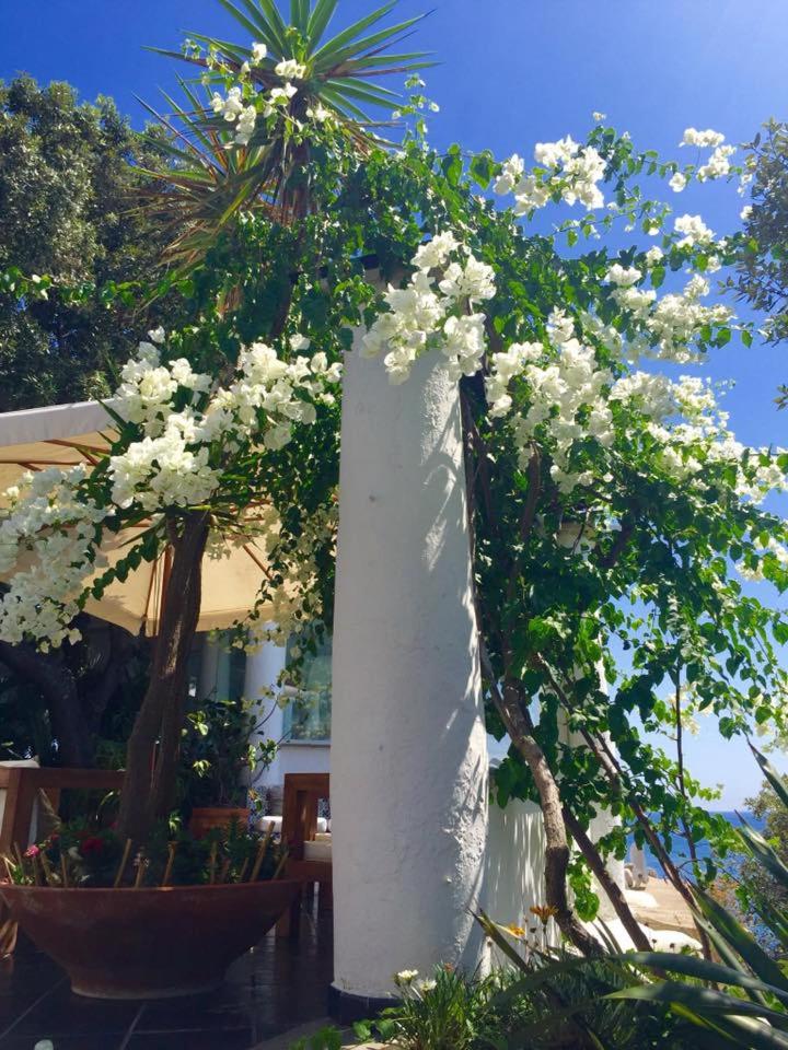 Hotel Punta Rossa - Photo 64