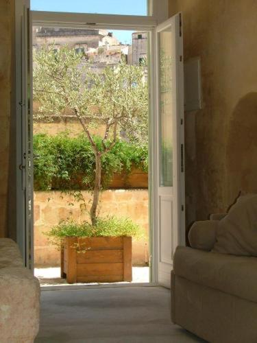 L'Hotel In Pietra - Photo 74