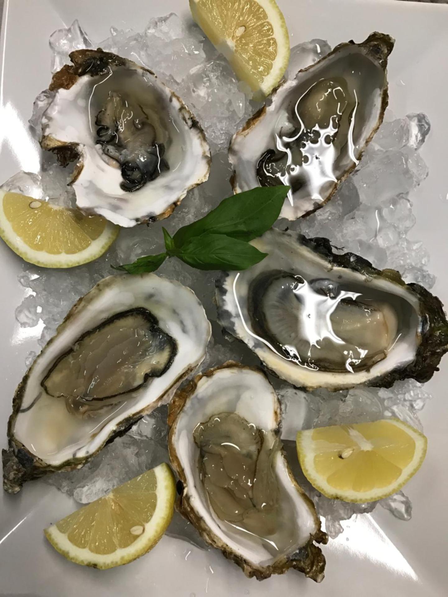 Villa Greta Hotel Rooms & Suites - Photo 98