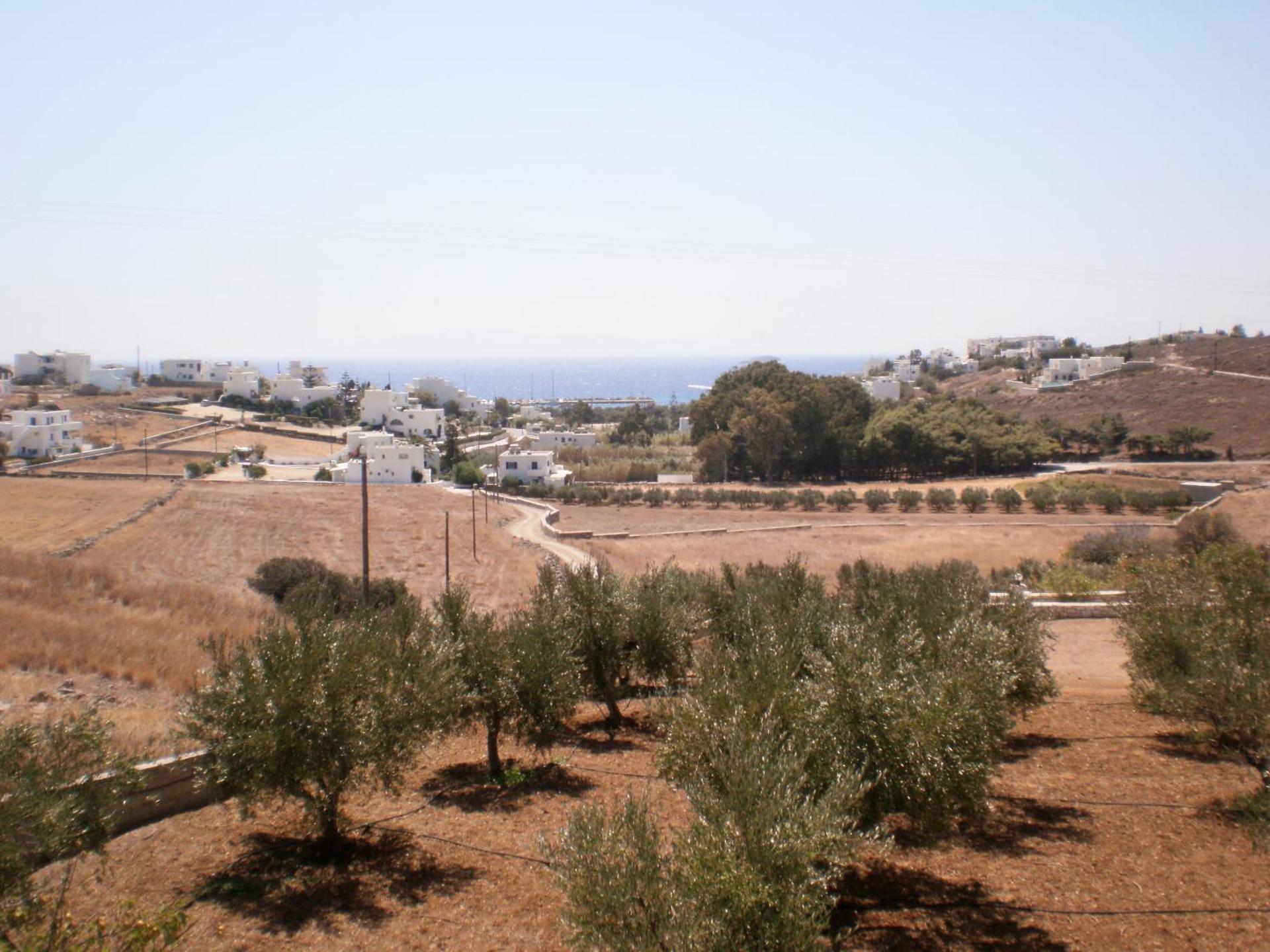 Panorama studios in PisoLivadi - Photo 42
