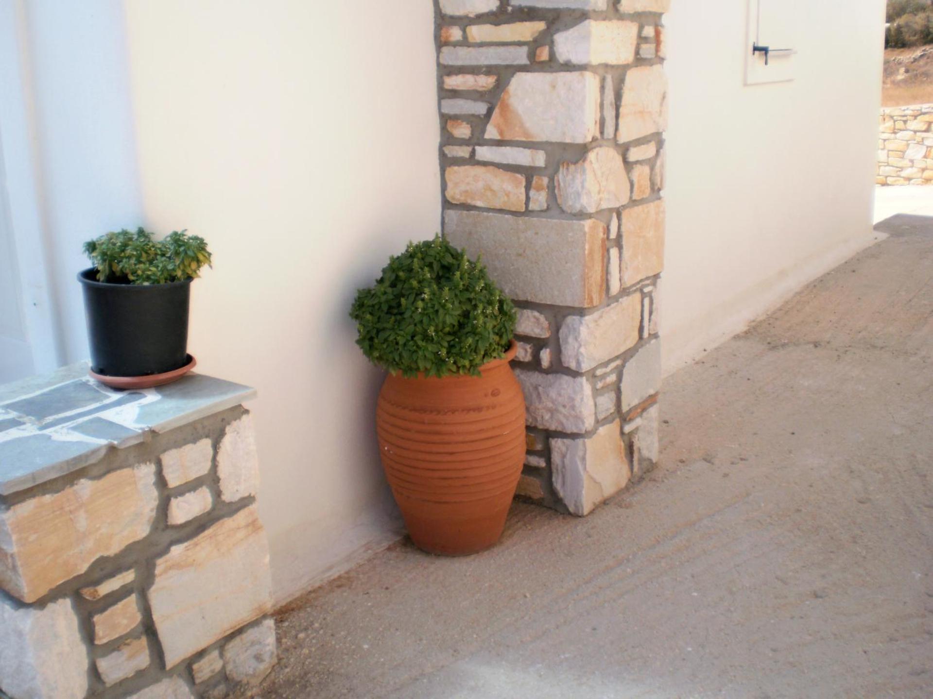 Panorama studios in PisoLivadi - Photo 44