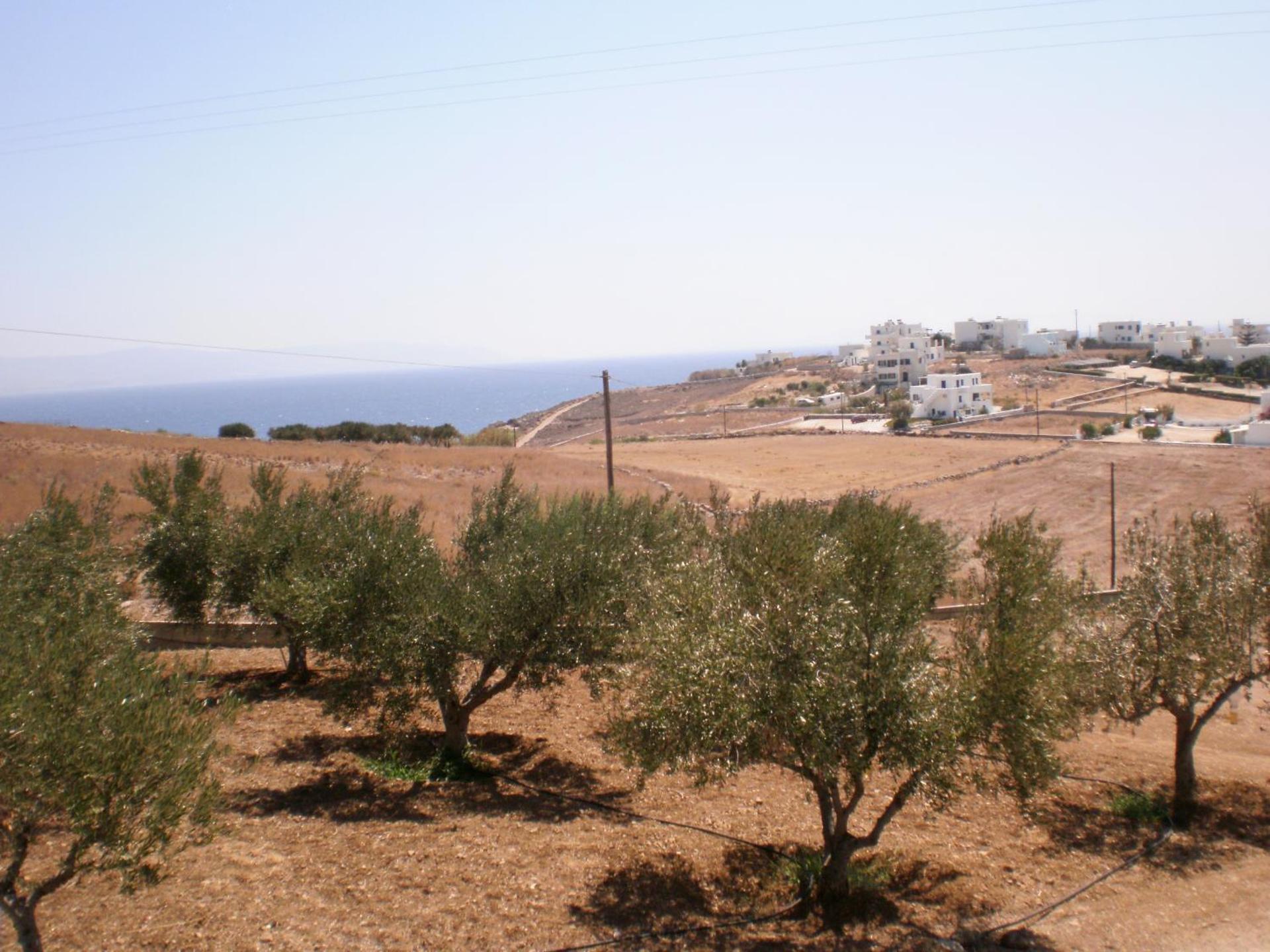 Panorama studios in PisoLivadi - Photo 51