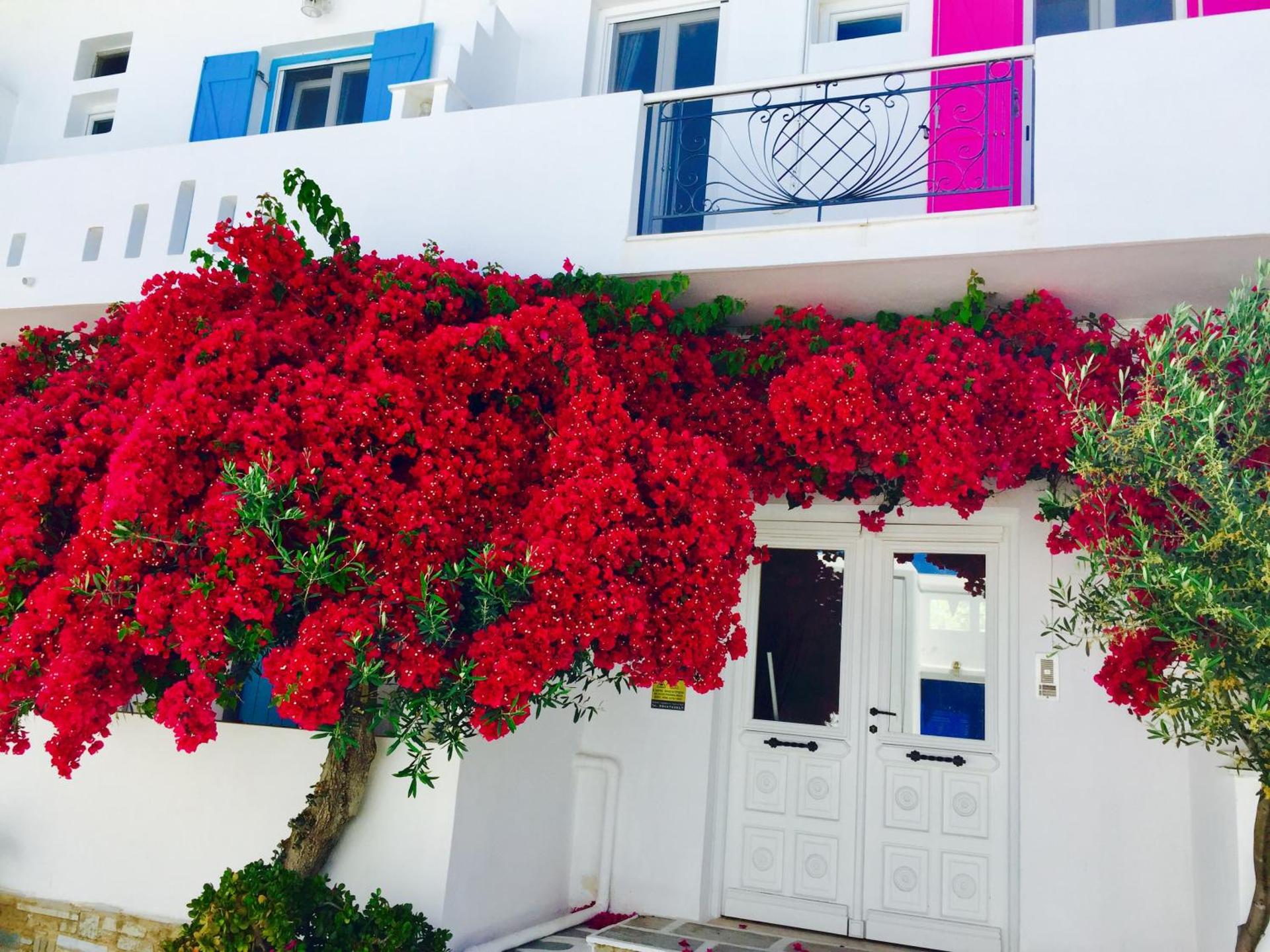 Aphrodite Boutique Hotel - Photo 17