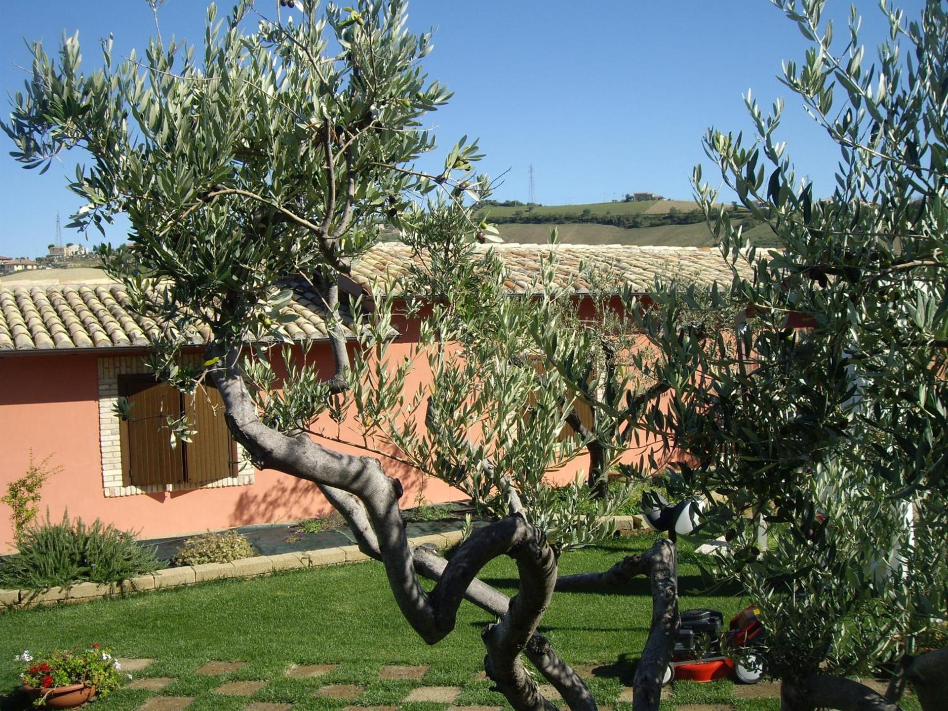Agriturismo Il Borgo Degli Ulivi - Photo 62