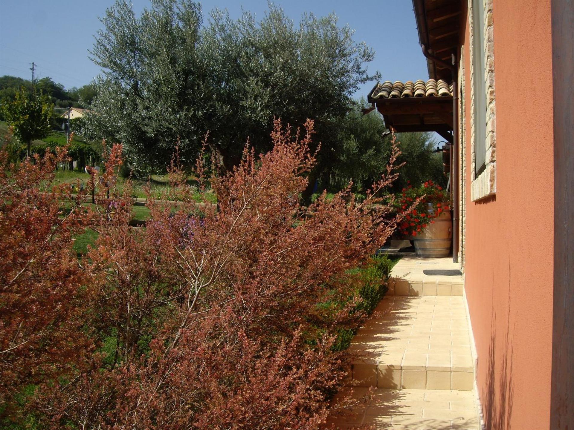 Agriturismo Il Borgo Degli Ulivi - Photo 50