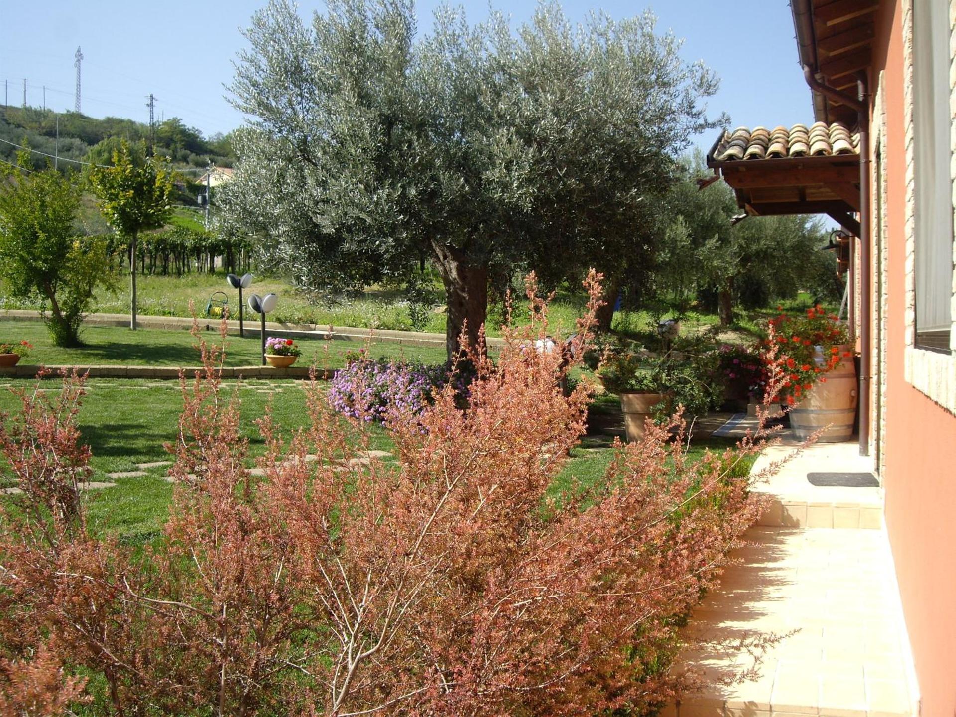 Agriturismo Il Borgo Degli Ulivi - Photo 40