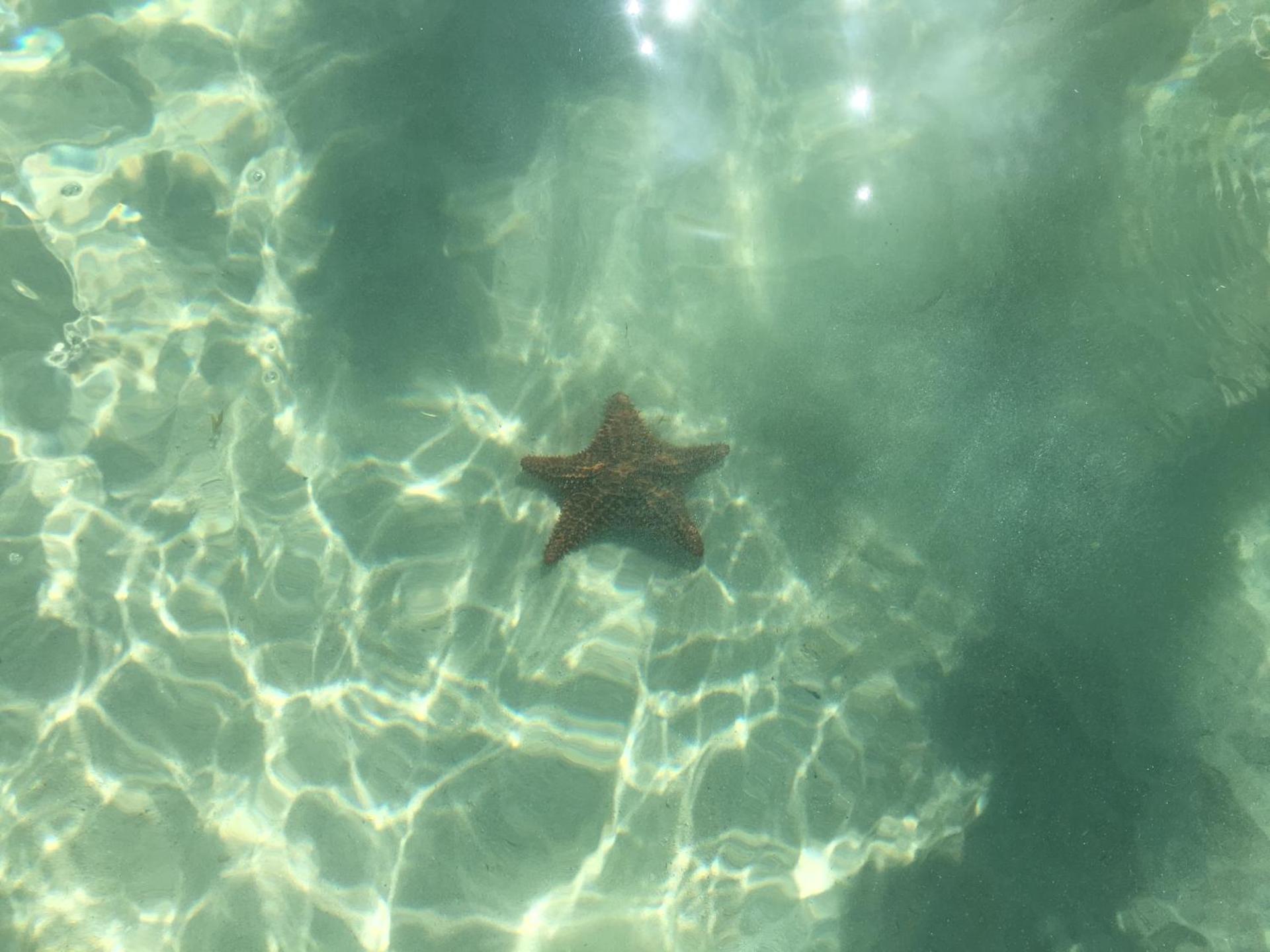 Posada Arco Iris, West End - Photo 64