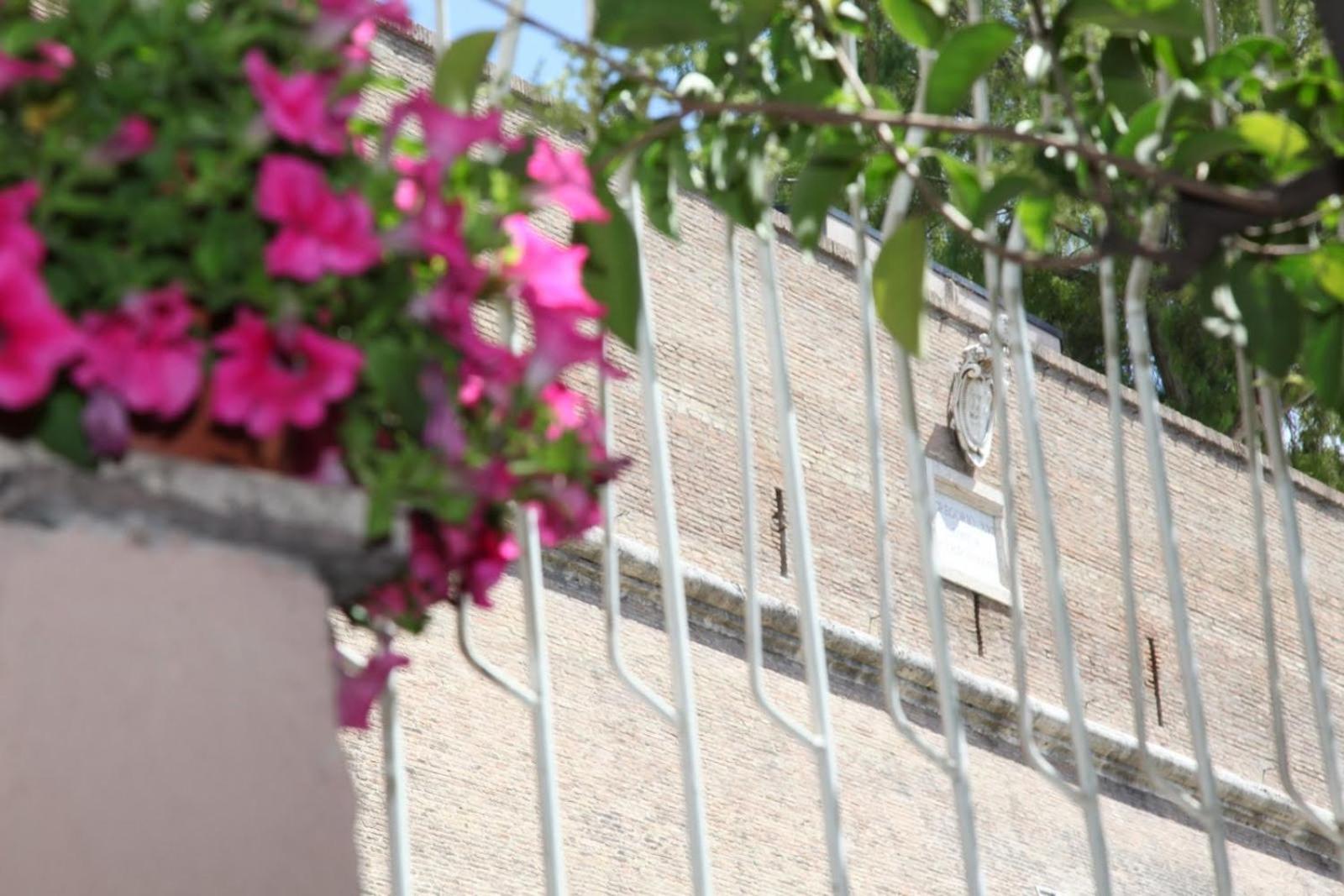 Vaticano84 - Photo 7