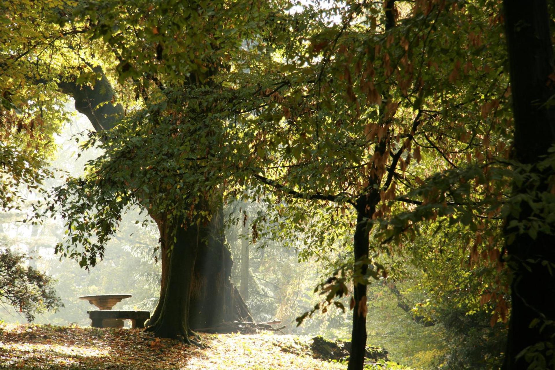 Agriturismo Villa Gropella - Photo 17