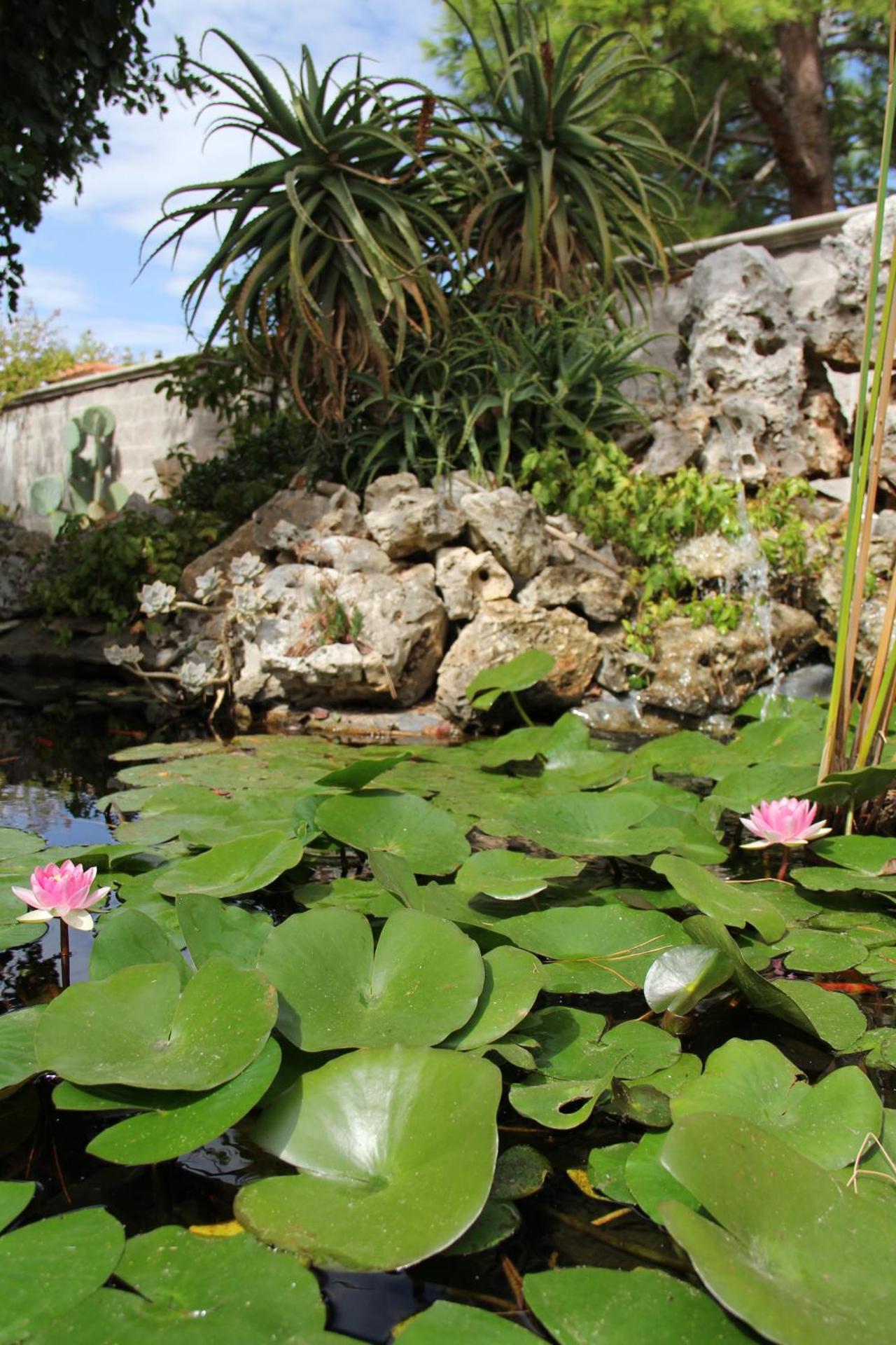 B&B La Rosa Blu - Photo 147