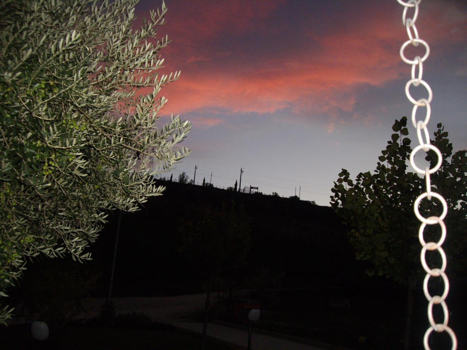 Agriturismo Il Borgo Degli Ulivi - Photo 69