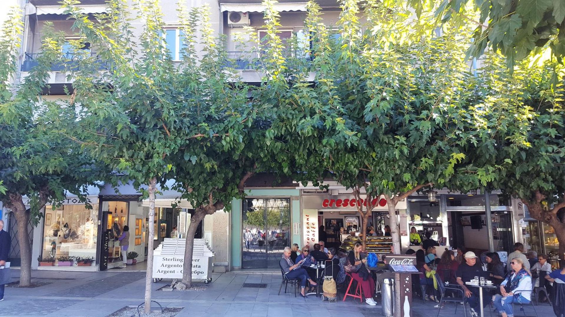 Acropolis Heart - Photo 26